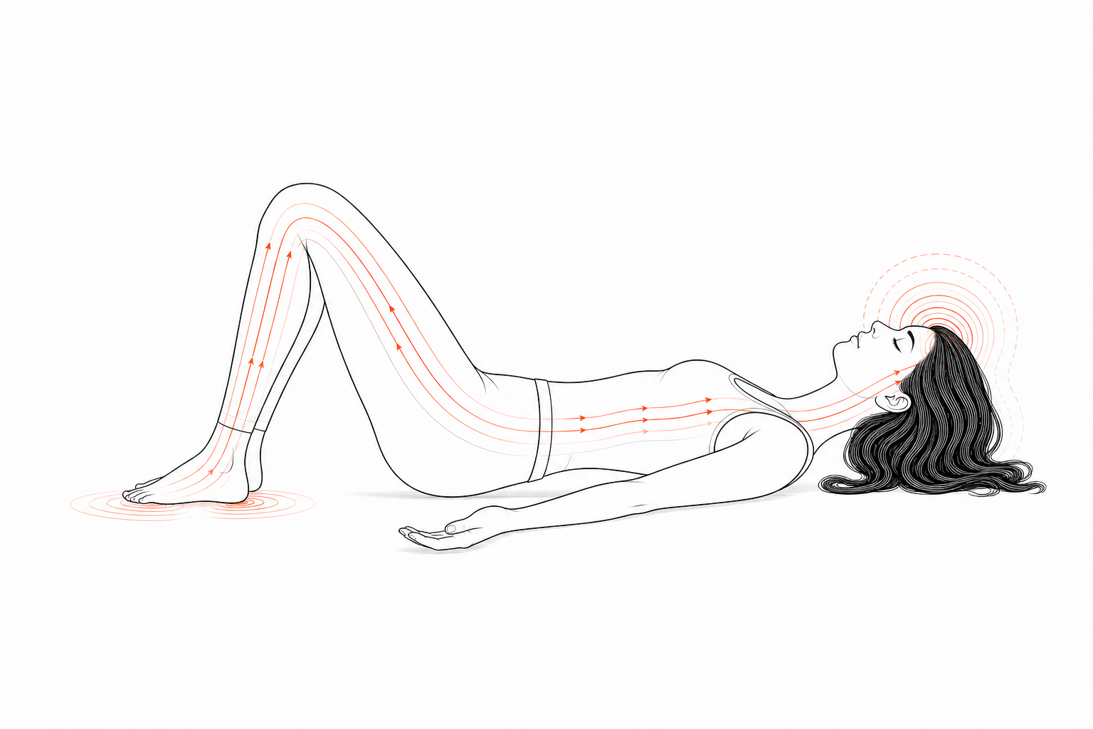 Minimal line anatomy illustration for Foot-to-Skull Resonance Sweep.