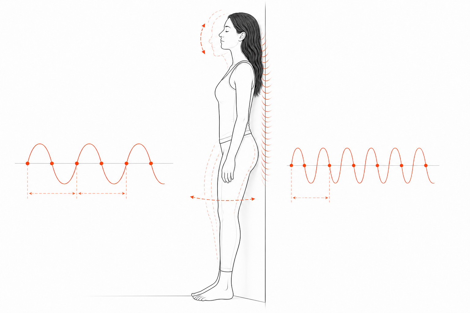 Minimal line anatomy illustration for Wall-Pelvis Phase-Lock Ratios.
