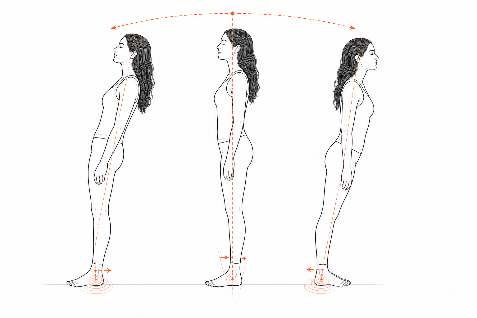 Minimal line anatomy illustration for Ankle Escapement Phase Window.