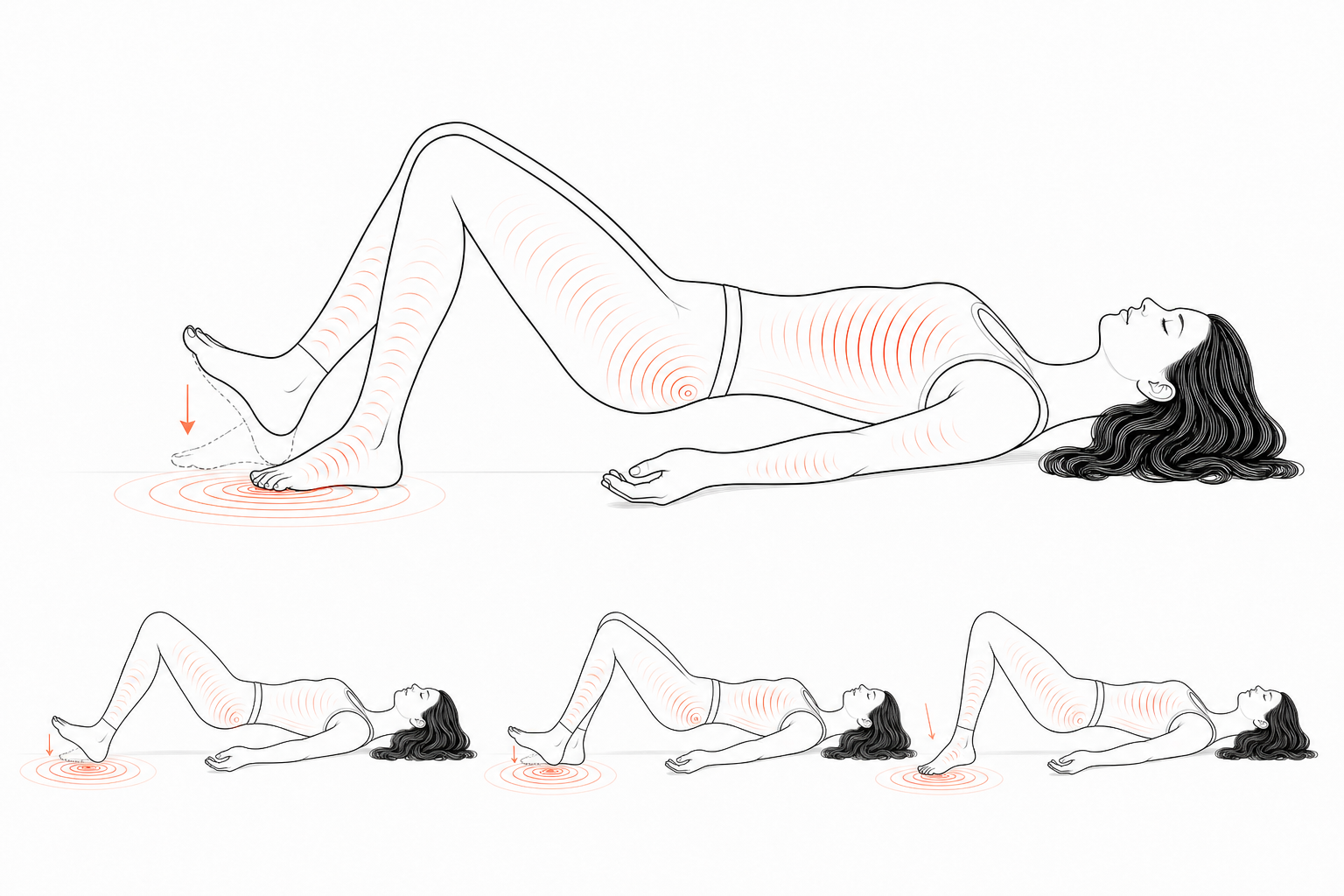 Minimal line anatomy illustration for Random Heel-Drop Impulse Response.