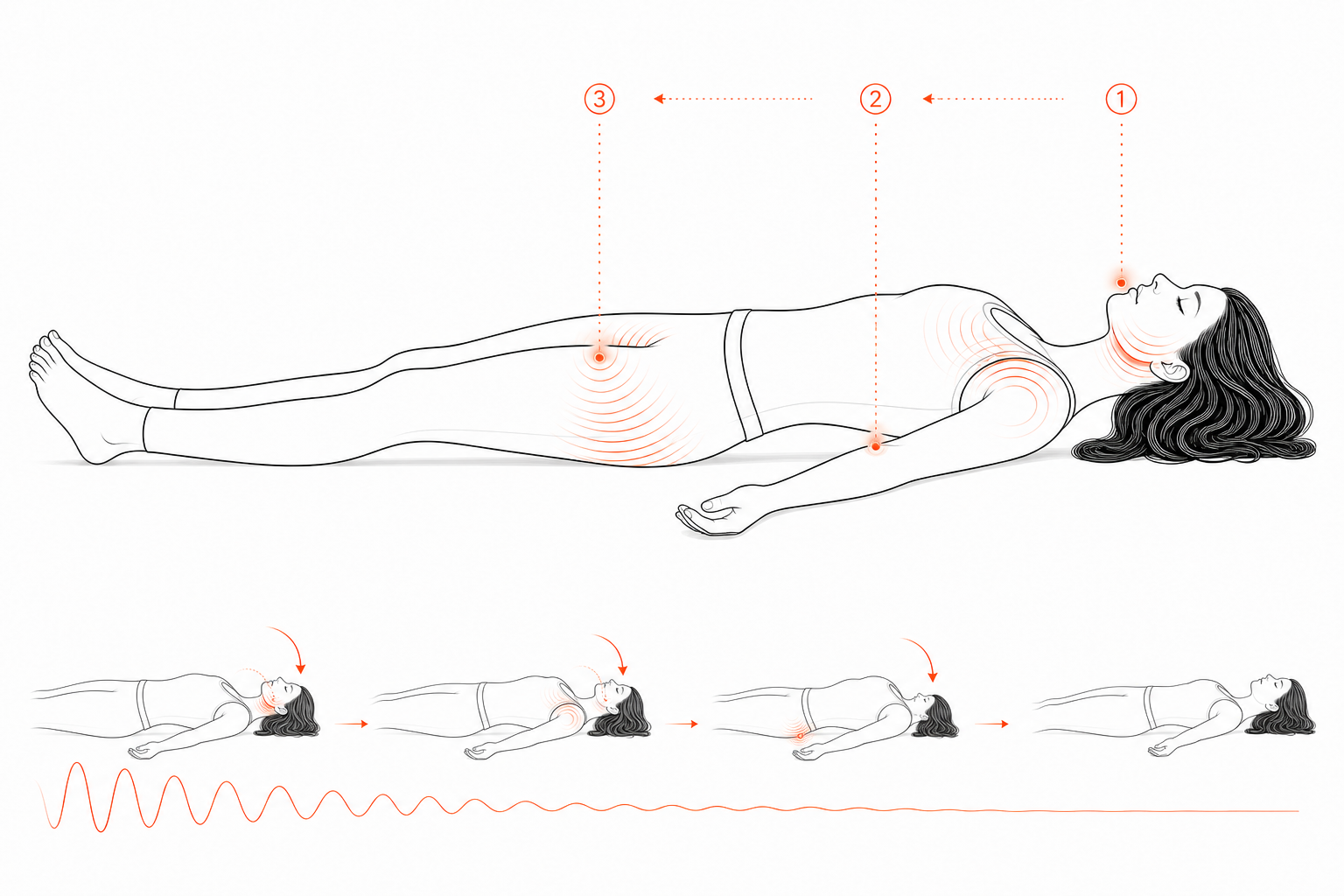 Minimal line anatomy illustration for Tension-Release Sequence Test.