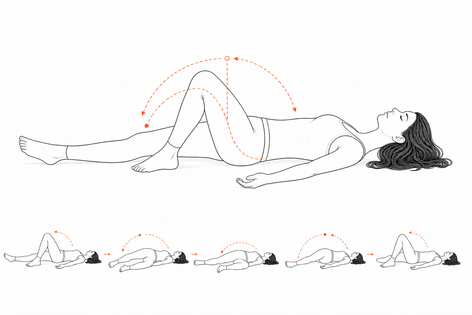 Minimal line anatomy illustration for Knee-Fall Path Reversal.