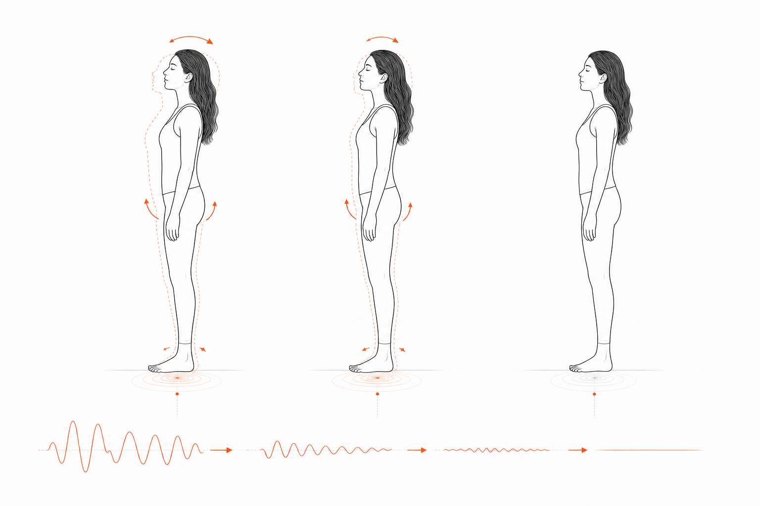 Minimal line anatomy illustration for Postural Microseism Subtraction.