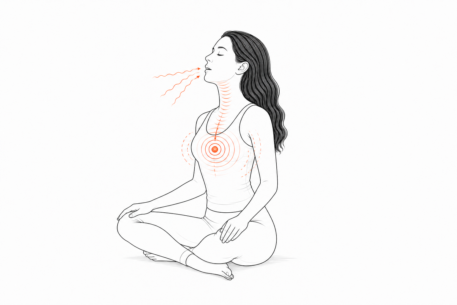 Minimal line anatomy illustration for Hum-vs-Silent Sternum Resonance.