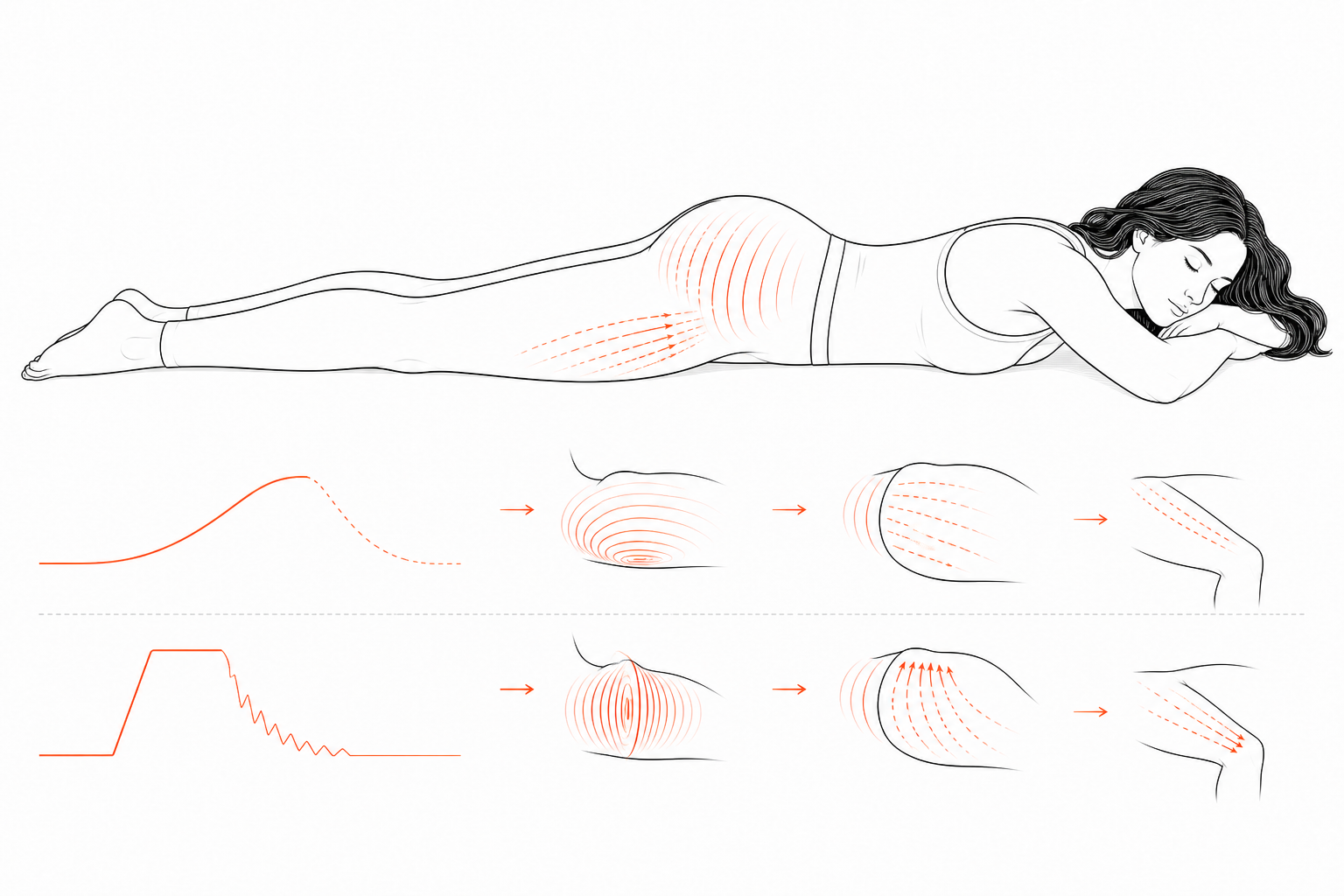 Minimal line anatomy illustration for Gluteal Slow-vs-Fast Ramp Dispersion.