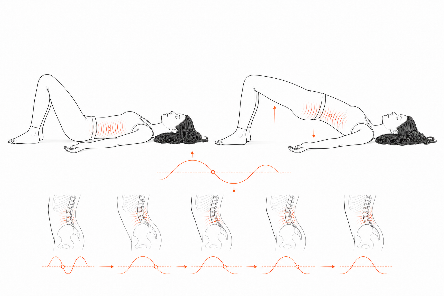 Minimal line anatomy illustration for Bridge-Driven Lumbar Node Sweep.
