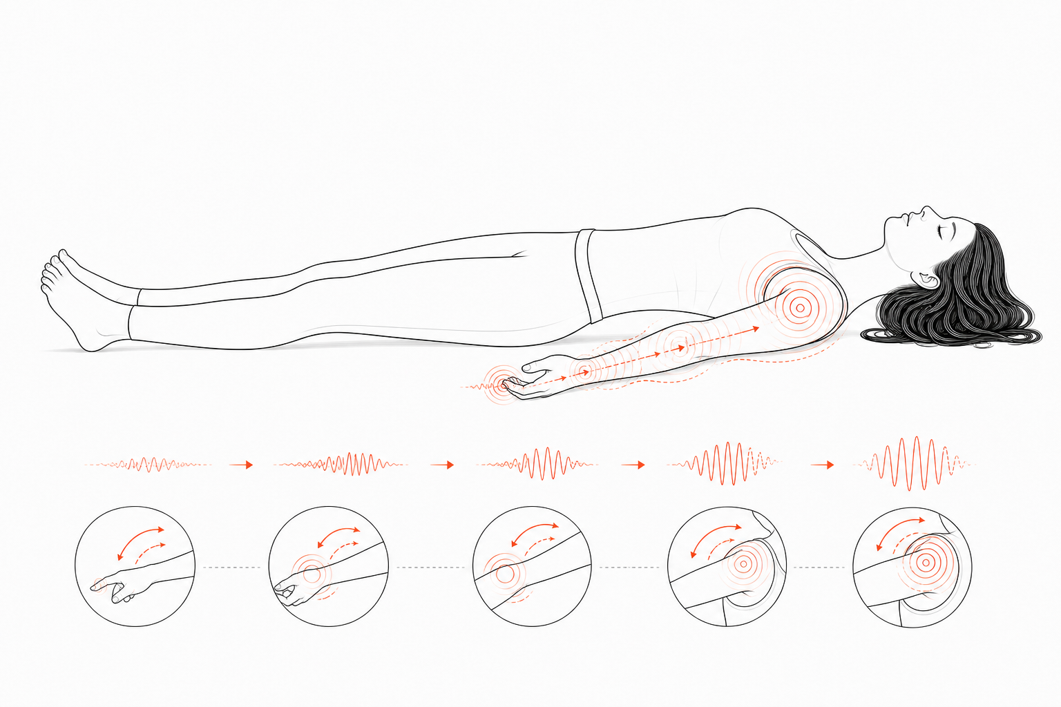 Minimal line anatomy illustration for Finger-to-Shoulder Recruitment Hysteresis.