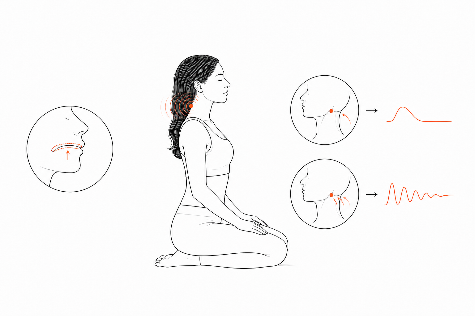 Minimal line anatomy illustration for Tongue-Press Neck Damping Class.