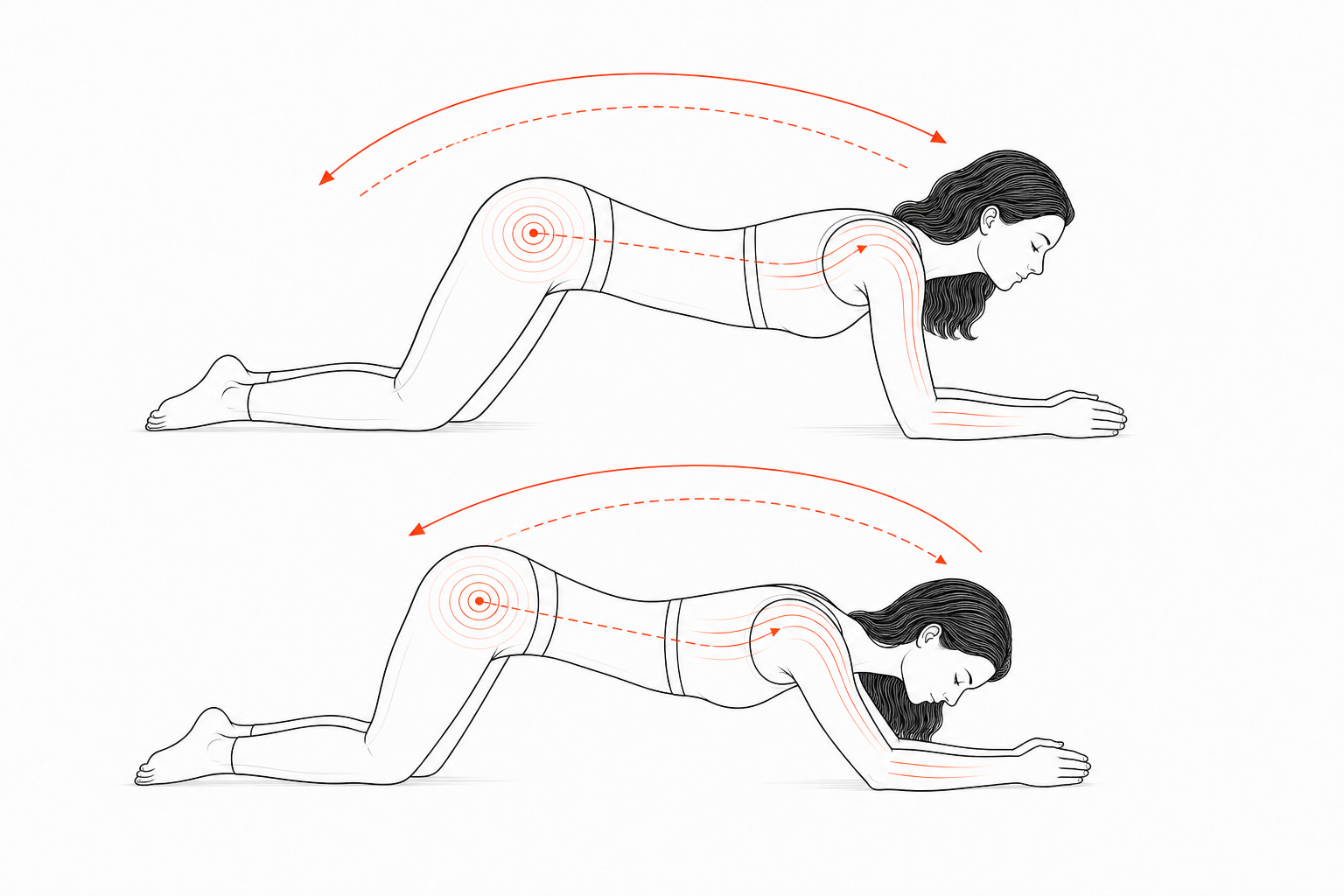Minimal line anatomy illustration for Hip-Locked Quadruped Reconstruction.