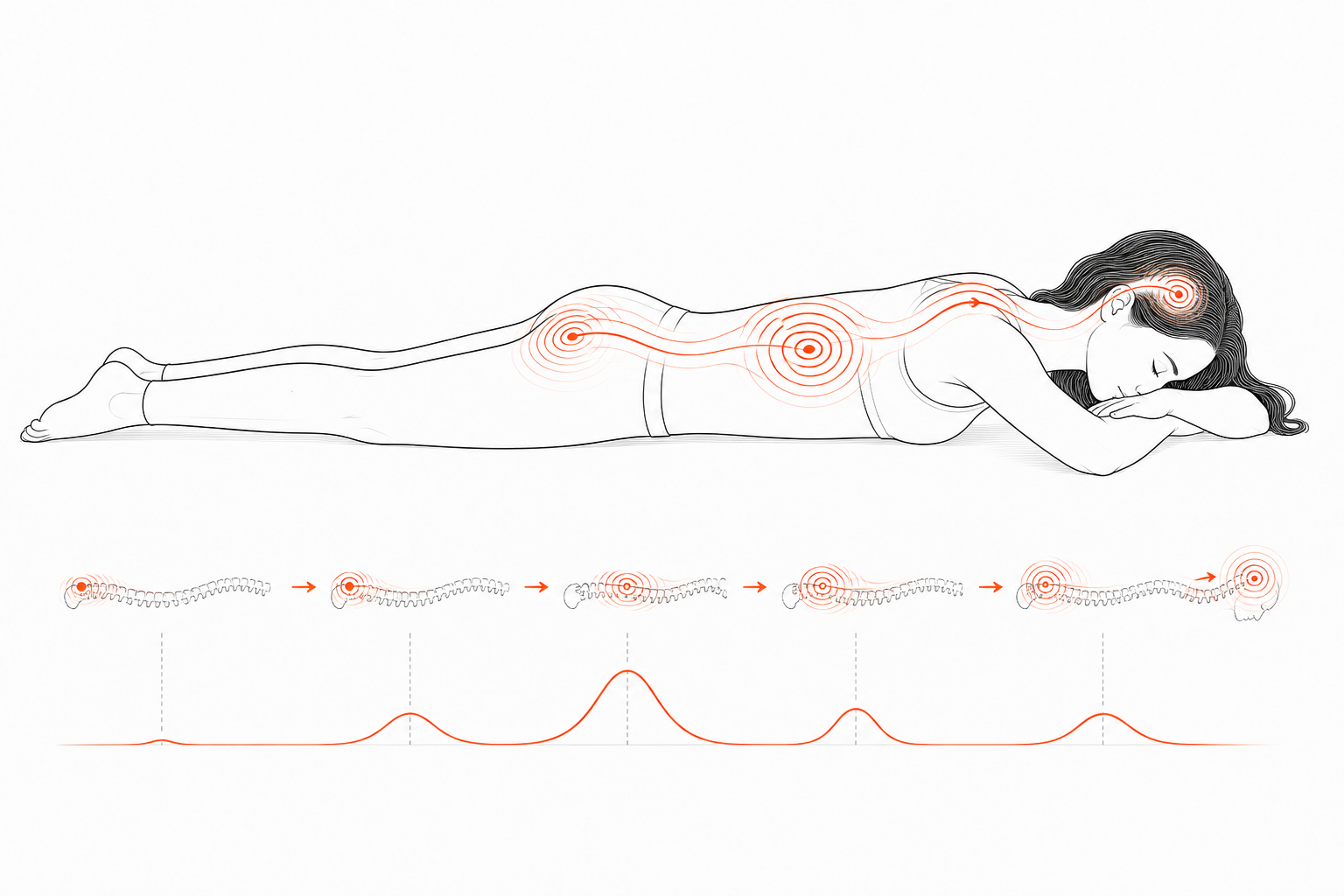 Minimal line anatomy illustration for Spinal Wave Retention Times.