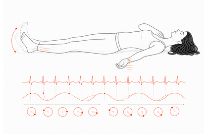 Thumbnail illustration for Foot-to-Pulse Subharmonic Lock.