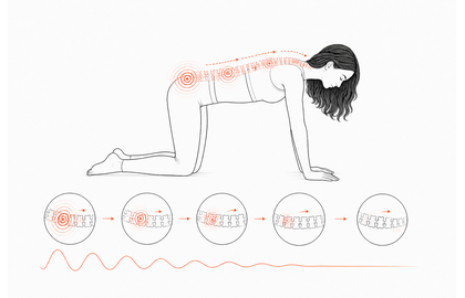 Thumbnail illustration for Fused-Plate Spinal Segments.